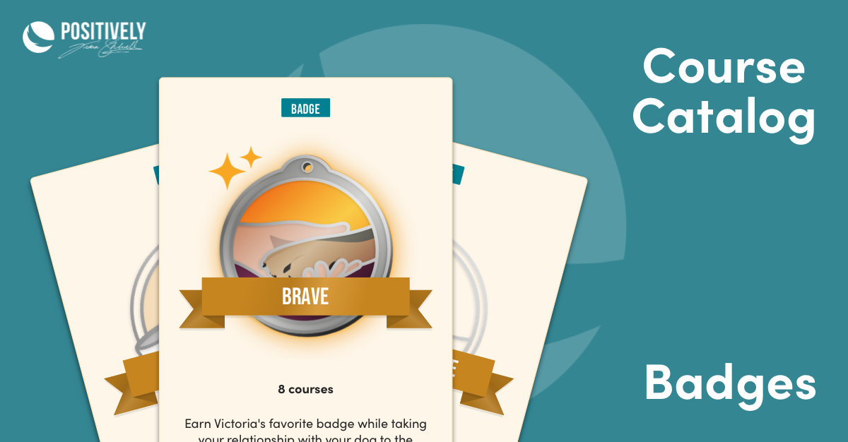 Course Catalog Badges